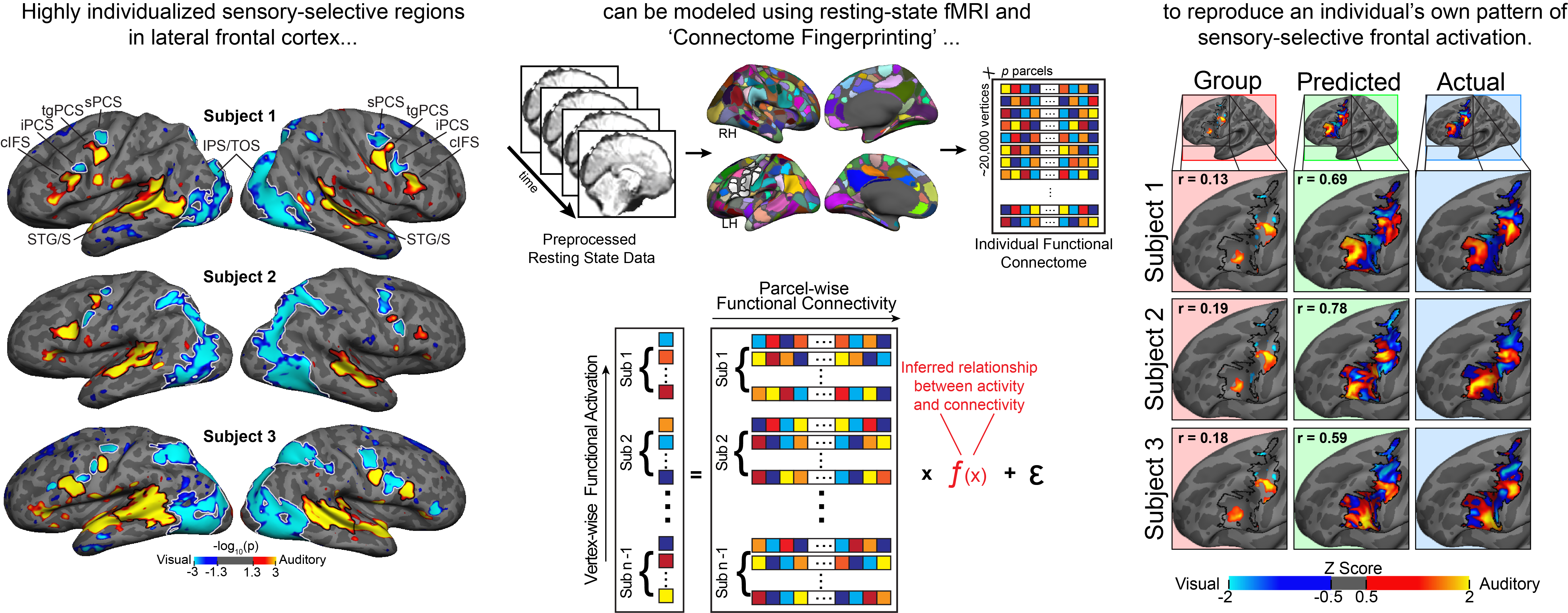 Connectome Fingerprinting Outline